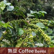 巴西咖啡为什么被称为咖啡界的巨人与君主？一文看懂巴西咖啡历史与风味