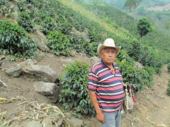 洪都拉斯咖啡味道 产量惊人的洪都拉斯咖啡圆润而复杂