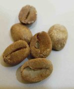 哥斯达黎加黑蜜处理手冲怎么冲？法拉蜜庄园水温研磨粉水比一次讲清