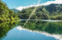 哥斯达黎加蜜处理咖啡怎么喝？白蜜黄蜜红蜜黑蜜区别与冲煮建议