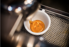 意式浓缩咖啡怎么喝？教你在家冲出金黄色咖啡脂的Espresso