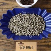 云南小粒咖啡水洗铁皮卡好喝吗？烘焙建议与手冲参数全解析