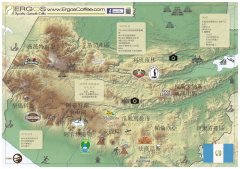 危地马拉安提瓜咖啡什么味道？花神咖啡豆风味与价格解析