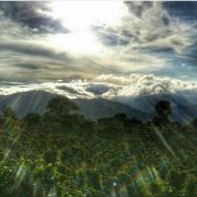 危地马拉安提瓜咖啡豆好喝吗？火山之地为何能出温和咖啡？