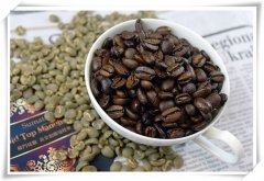 曼特宁咖啡为什么被称为咖啡中的绅士？产地来源与单品烘焙冲煮全解析