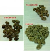 曼特宁咖啡是什么？湿剥除法处理的苏门答腊咖啡有何不同，G1瑕疵率为何偏高