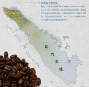 曼特宁咖啡为什么醇厚不酸？苏门答腊产地种植历史与湿剥处理法解析