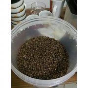 西达摩咖啡豆维西之蜜风味如何？水洗G1野姜花佛手柑口感解析
