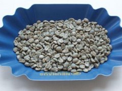 肯尼亚AA咖啡豆口感怎么样？和哥斯达黎加咖啡区别在哪？