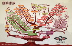 巴西咖啡、哥伦比亚咖啡和蓝山咖啡有什么区别？三大产地风味对比一次讲清