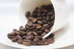 曼特宁咖啡豆价格贵吗？黄金曼特宁和普通曼特宁有什么区别？