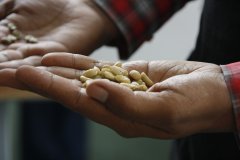 水洗处理为什么要发酵？湿发酵时间长短如何影响咖啡酸度与干净度