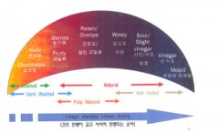 曼特宁为什么要用湿刨法？湿刨法对印尼咖啡豆风味有什么影响？