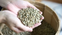 哥伦比亚慧兰咖啡怎么烘焙？浅中烘与中深烘风味区别一次说清