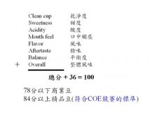 SCAA杯测和CoE杯测有什么区别？评分表、流程与研磨度标准一次讲清