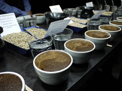 咖啡杯测八大评分项目怎么打分？干净度、甜度、酸质哪个最重要？