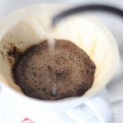 曼特宁咖啡该加奶吗？猫屎咖啡多少钱一杯，和黄金曼特宁区别在哪