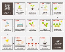 荫栽还是曝晒？云南咖啡种植面临的环境困境与永续选择