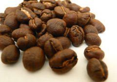 咖啡公豆算瑕疵豆吗？公豆和母豆有什么区别、怎么冲才好喝？