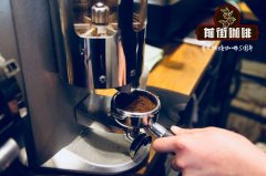 磨豆机哪种好用？10款电动磨豆机优缺点对比与选购建议