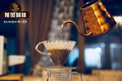 精品咖啡和单品咖啡有什么区别？关于精品咖啡必须知道的六件事