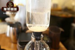 虹吸式咖啡壶怎么用？电虹吸壶和传统塞风壶哪个更值得入手？