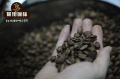 热风烘豆怎么选？SR500 做 bubbling bed 与 fluid bed 的风味差异实测