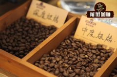 SR500流床式烘焙机怎么改？浮风式与流床式烘豆差异实测