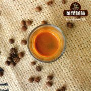 蓝山咖啡为什么那么贵？正品牙买加蓝山与高山咖啡区别在哪？