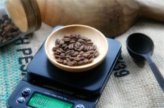 星巴克用的什么咖啡机？全自动与专业意式机差别在哪