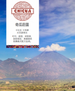 奇瓜庄园改进豆子品种改善风味。没有工具怎么冲咖啡?挂耳最方便