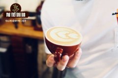 巨型象豆︱水洗豆 象豆和阿拉比卡有什么差异?象豆好喝吗?