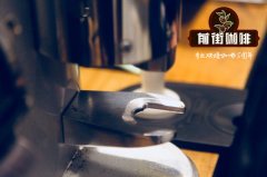 蜜处理分几种？白蜜、黄蜜、红蜜、黑蜜处理法有什么区别？