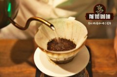 不锈钢咖啡滤杯和滤纸哪个好？手冲咖啡滤杯种类特点对比
