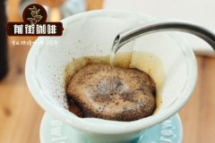 咖啡滤纸品牌怎么选？Kalita、Hario、mola、KONO、bonavita 实测差异对比