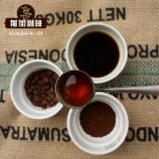 SCAA杯测裁判和CQI Q Grader哪个好？SCAA与SCAE认证区别一次讲清