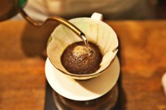 SCAA精品咖啡定义是什么？从种子到杯子五个环节讲透好咖啡标准