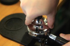 SCAE欧洲精品咖啡协会咖啡师证考什么？初级与中级课程内容全解析