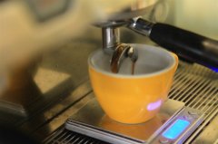 欧洲精品咖啡协会SCAE证照课程有哪些？中国能考SCAE国际咖啡师证吗