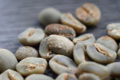 危地马拉树上的猴子庄园MudoNovo是什么品种？Coban产区风味与故事解析