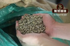 蓝山咖啡为什么非要送到Sherwood Forest处理？R.S.W庄园水洗发酵工艺一次讲清