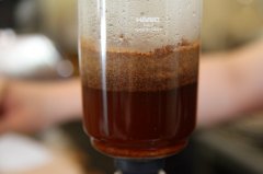 萨尔瓦多圣安娜火山咖啡好喝吗？波旁品种风味与产区特点解析