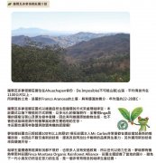 萨尔瓦多Organic Shade Grown Montaña有机咖啡梦塔娜庄园故