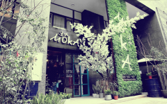 重庆环境最好的咖啡馆是哪家？MOKA 墨·咖：藏在森林里的拍照咖啡馆