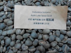 苏门答腊亚齐塔瓦湖绿宝石曼特宁咖啡介绍?绿宝石曼特宁特点?