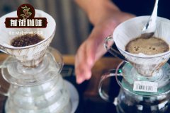 牙买加蓝山和蓝山风味咖啡的区别|牙买加蓝山咖啡多少钱一杯