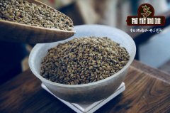 夏威夷科纳咖啡豆分级制度_科纳咖啡豆如何调制_科纳咖啡豆多少钱