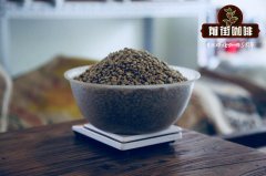 2018泰国咖啡豆推荐_泰国美斯乐云雾咖啡风味介绍_泰北咖啡怎么喝