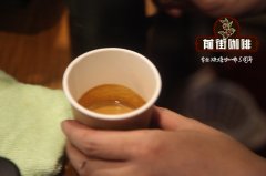 入门花式咖啡豆哪个牌子好_入门咖啡豆品牌推荐_入门咖啡豆价格