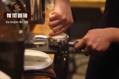 意式咖啡机用什么咖啡豆油脂好？研磨刻度该调几档